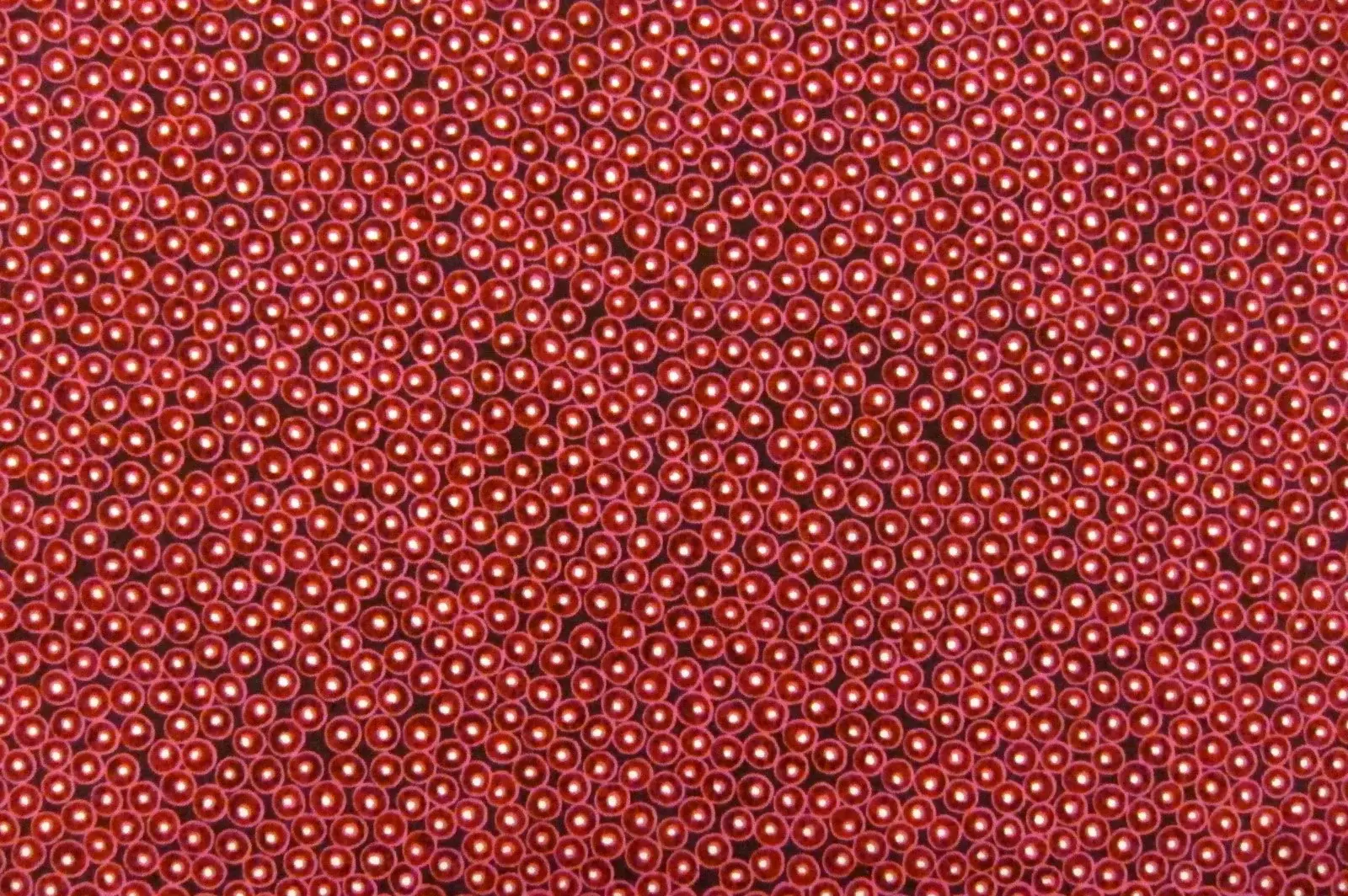 Cotton Broadcloth Print0