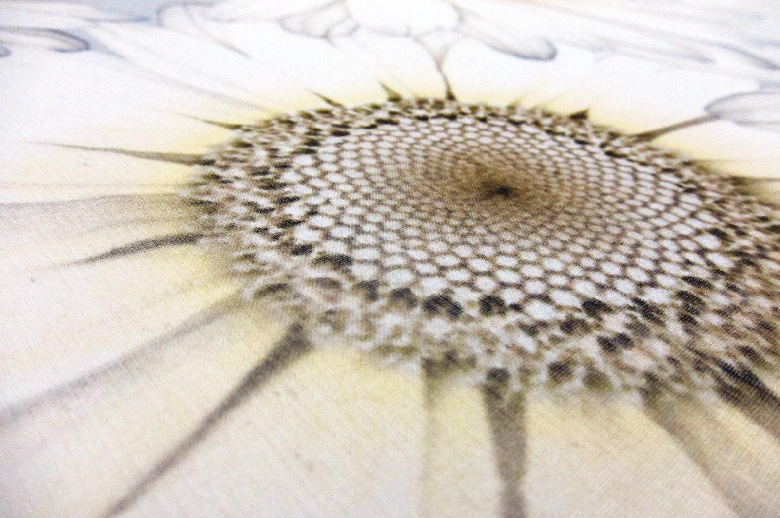 Printed Silk Chiffon2