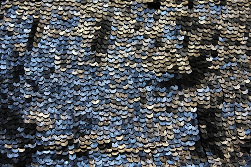 Sequins on Silk Chiffon0