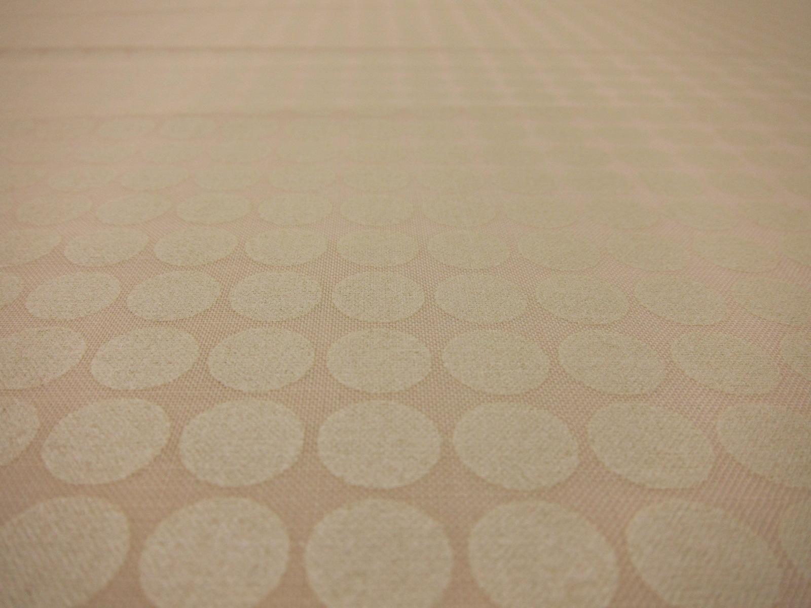 Cotton Broadcloth Print2