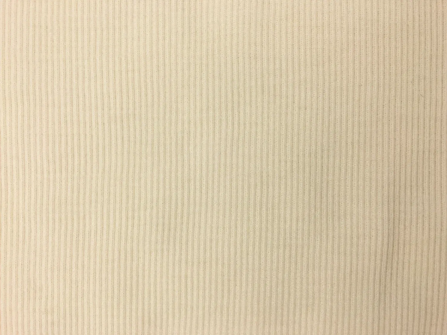 Virgin Wool Rib Knit in Winter White0