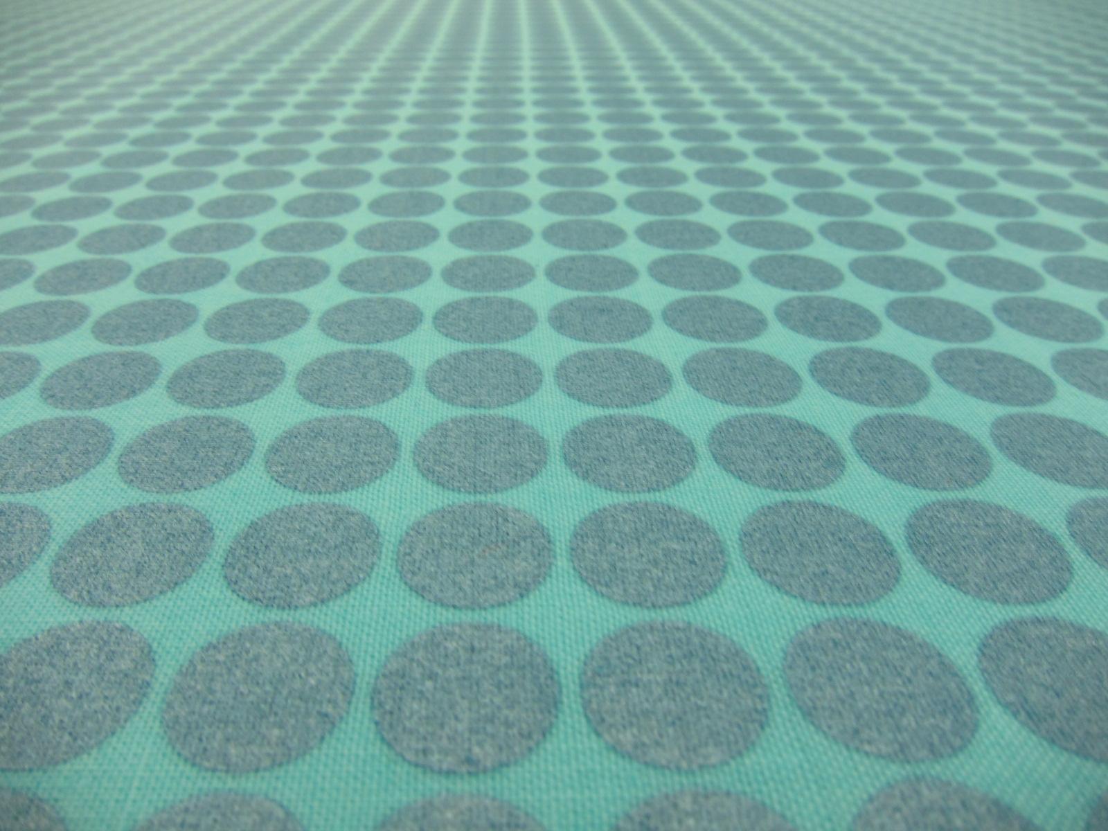 Cotton Broadcloth Print2