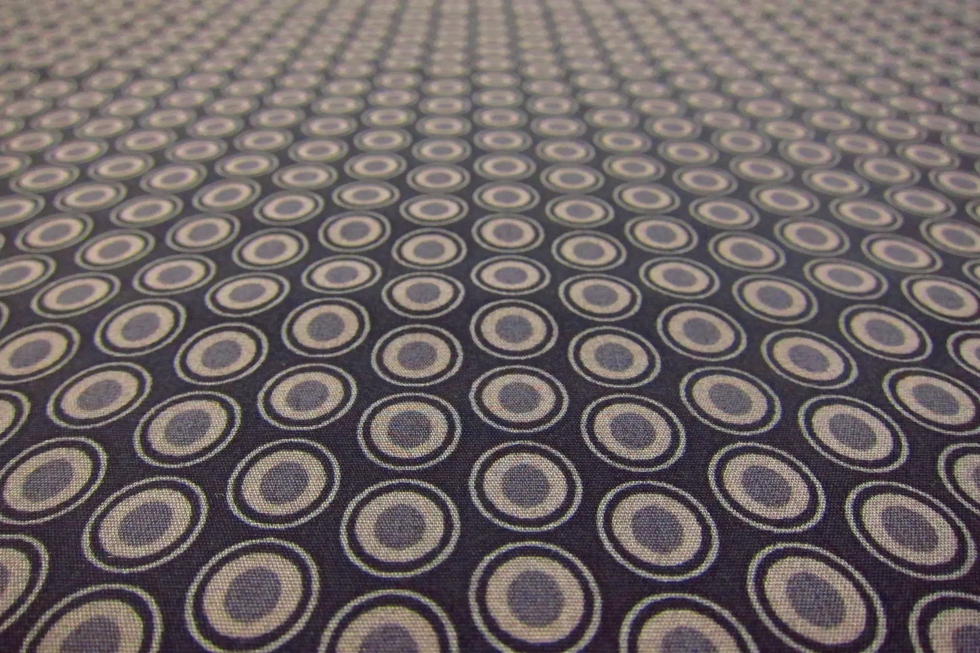 Cotton Broadcloth Print2