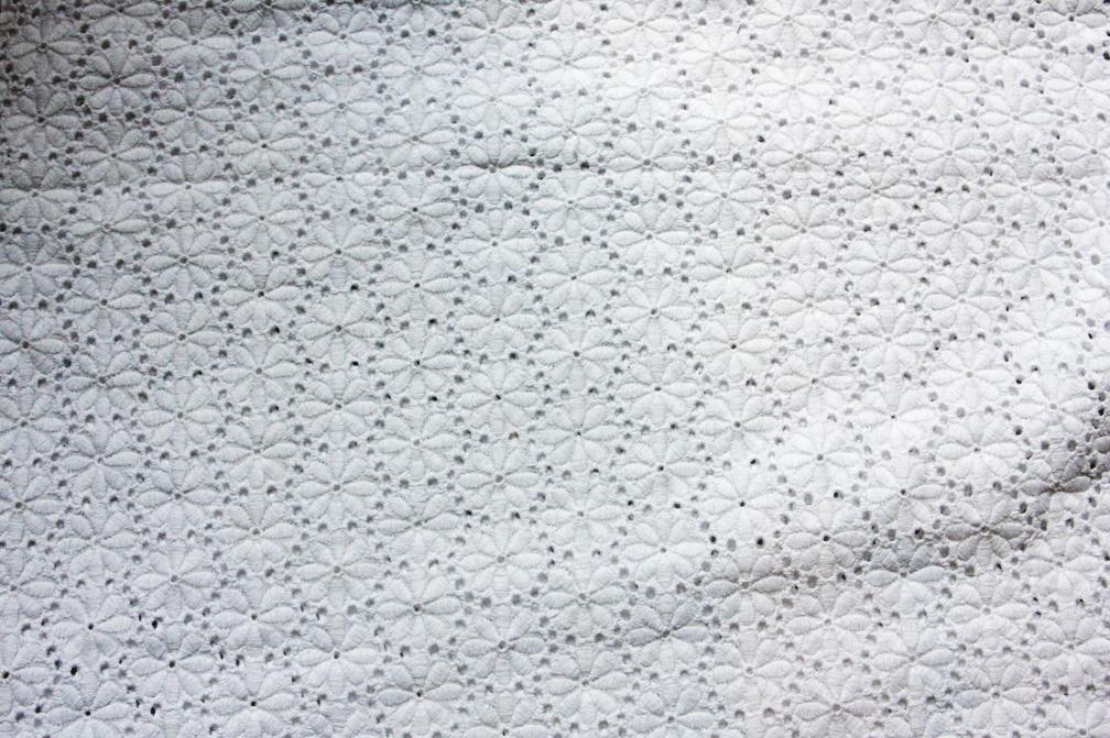 Cotton Eyelet2