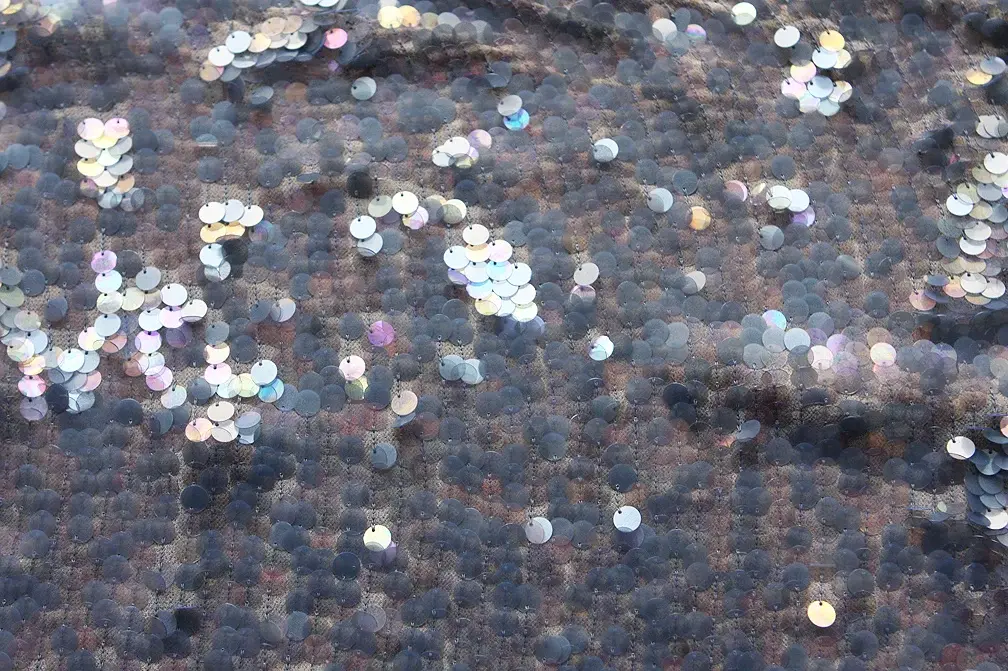 Novelty Paillettes on Silk Chiffon0