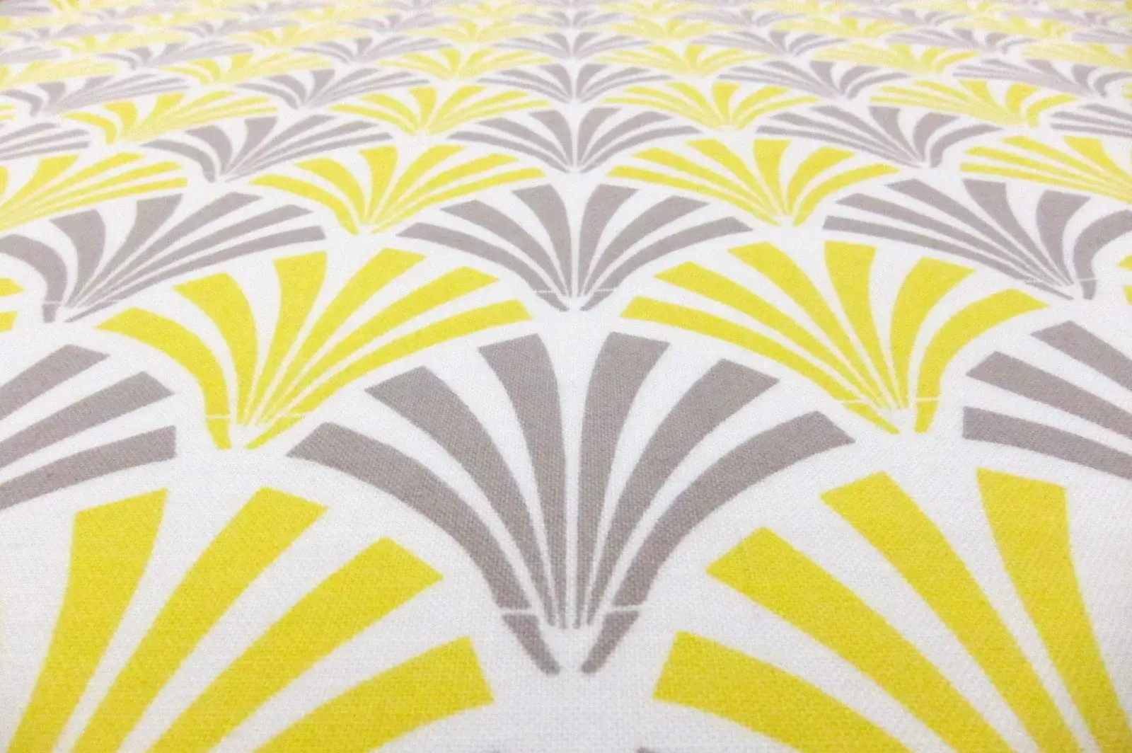 Cotton Broadcloth Print1