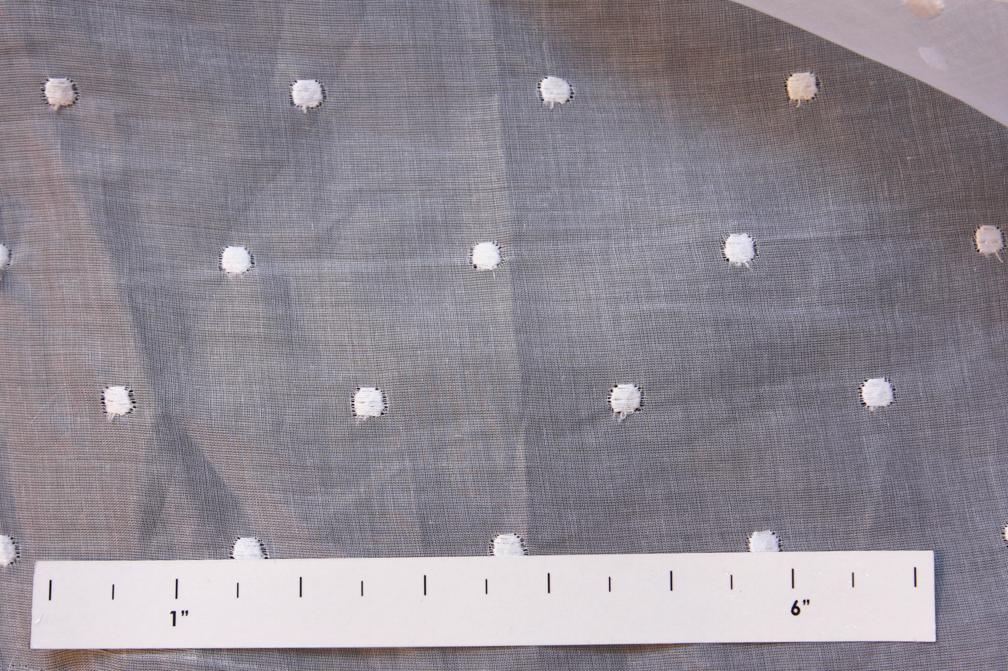 Cotton Embroidered Organdy0