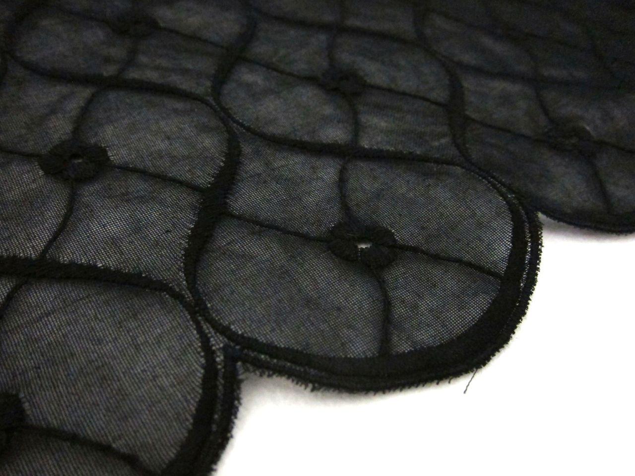 Embroidered Cotton Voile Eyelet in Black2