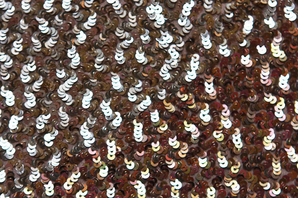 Sequins on Silk Chiffon2