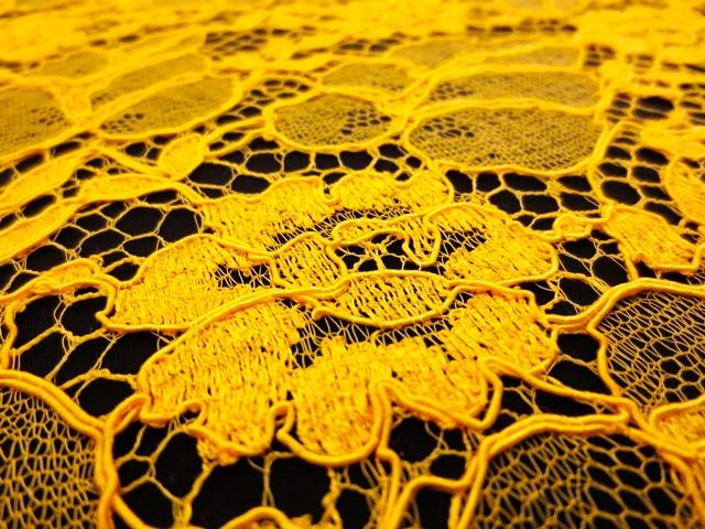 Corded Chantilly Lace2