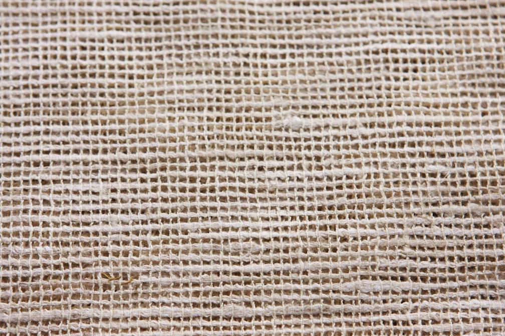 Silk Mesh2