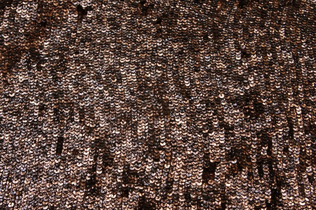 Sequins on Silk Chiffon0