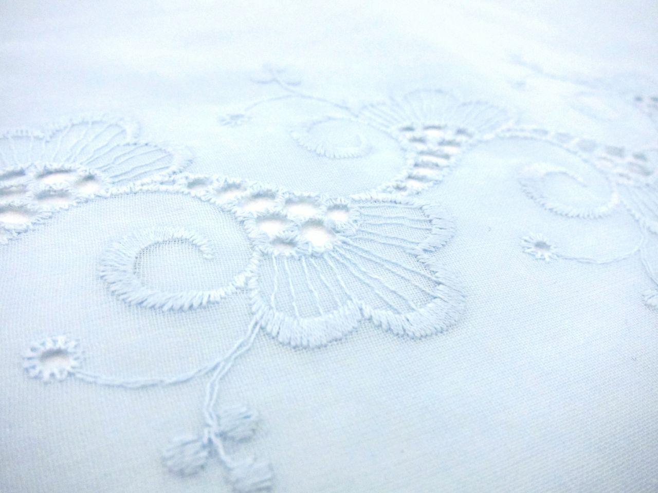 Embroidered Cotton Voile Eyelet in Sky Blue3