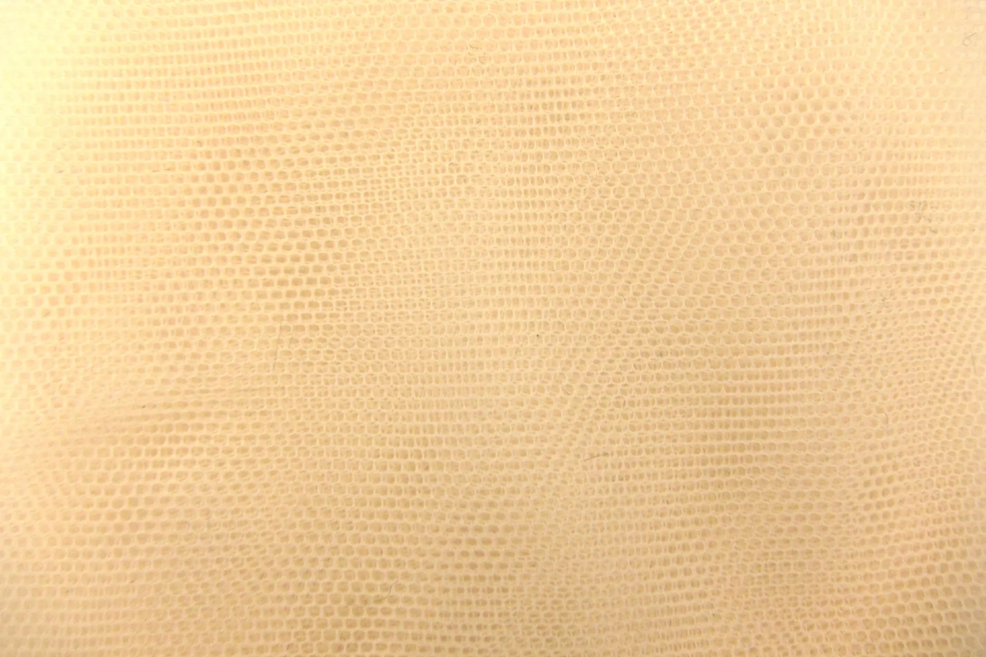 Italian Nylon Tulle in Beige0