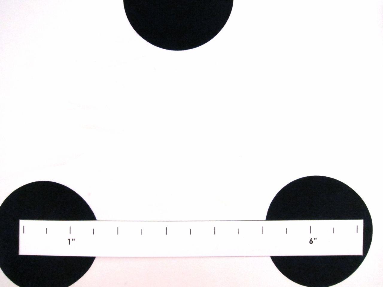 Printed Silk Charmeuse1