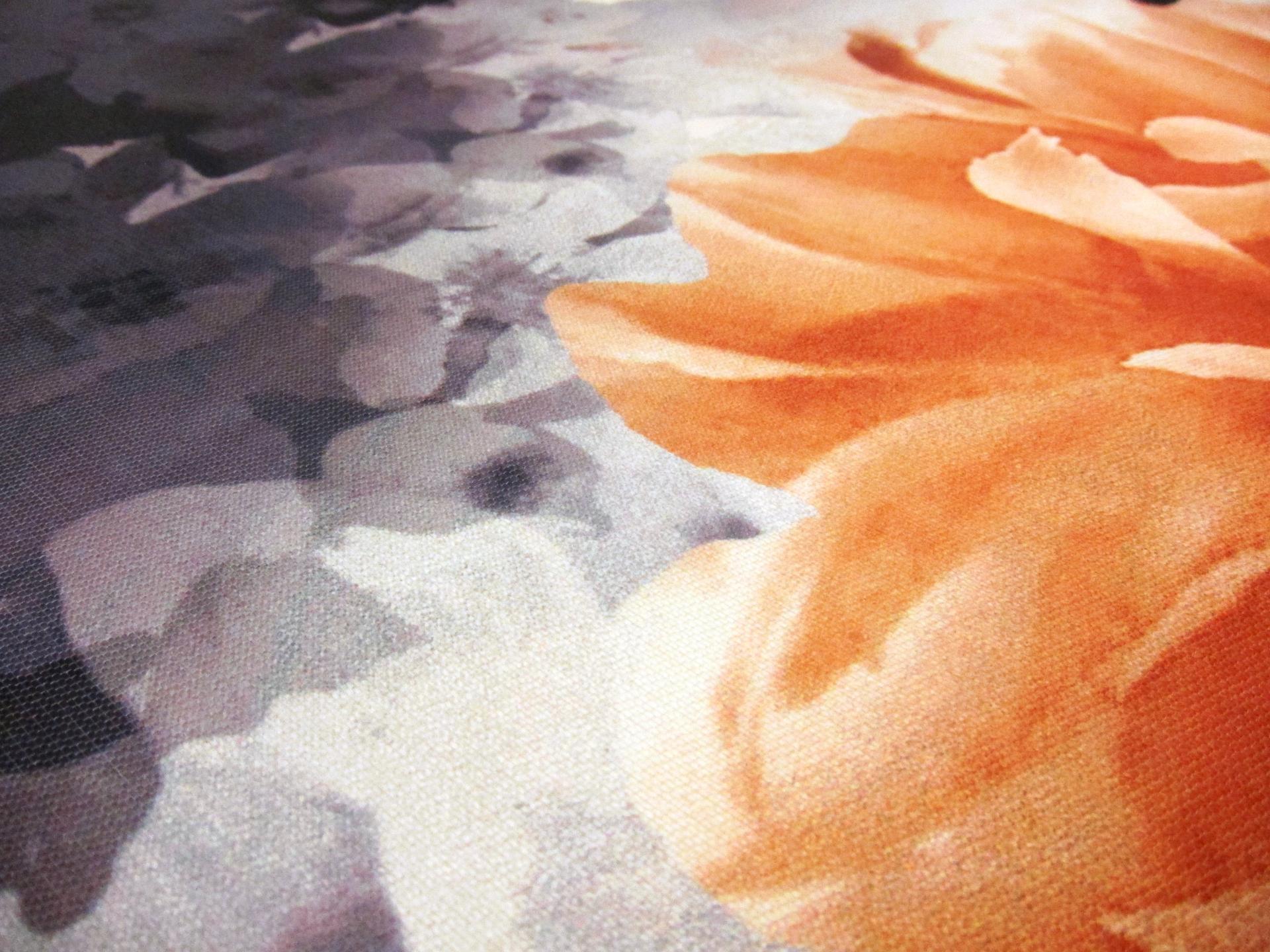 Silk Blend Printed Zibeline2