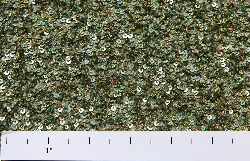 Sequins on Silk Chiffon1