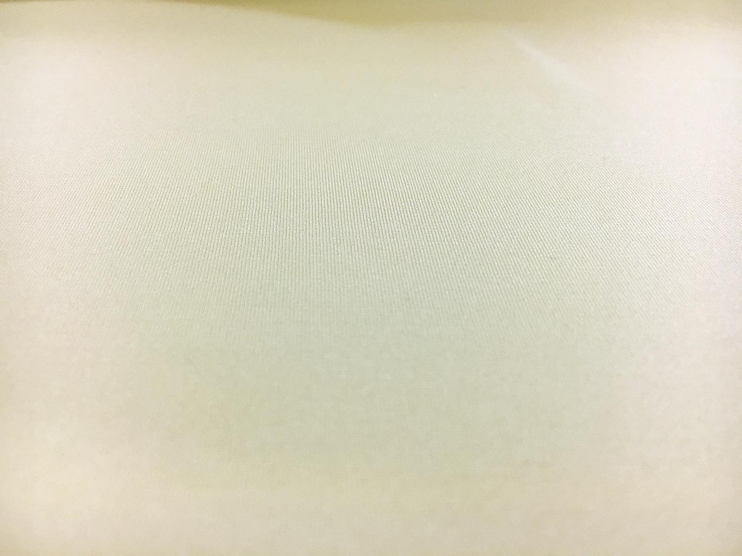 Super Spandex in Ivory0