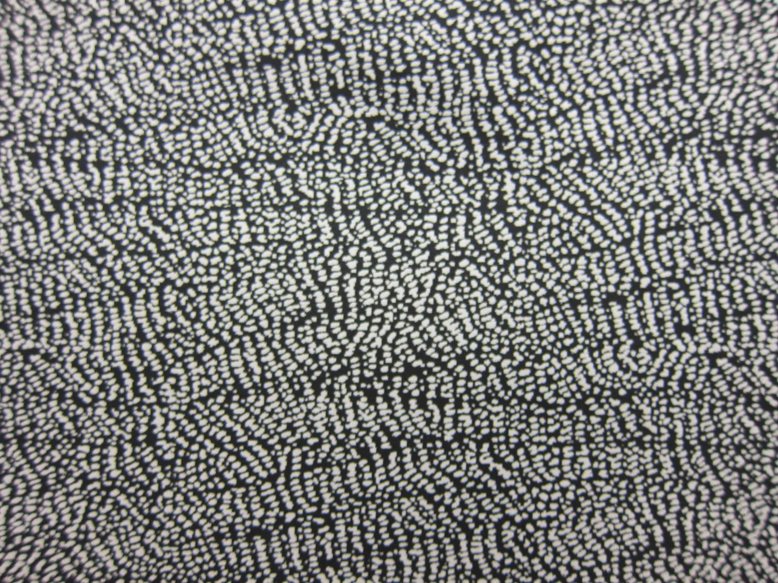 SILK TAFFETA JACQUARD0