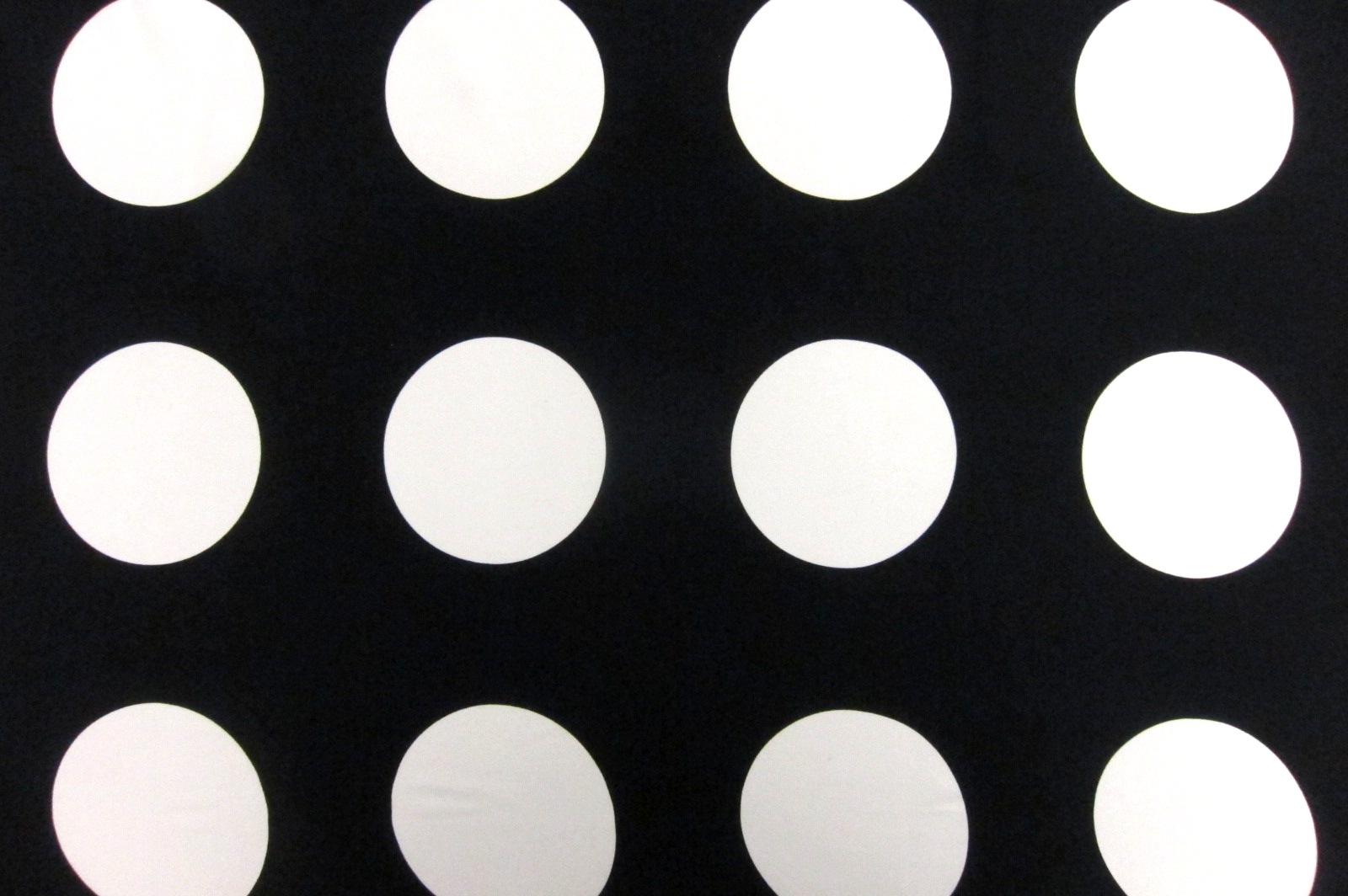 Printed Silk Charmeuse0