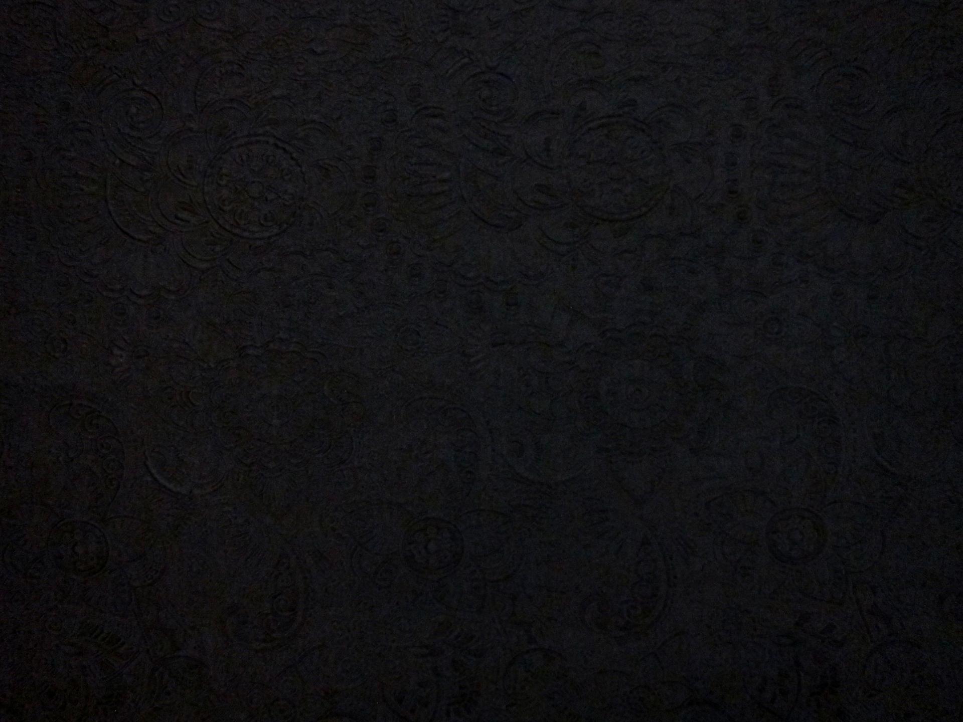 Silk Blend Organza Cloqué0