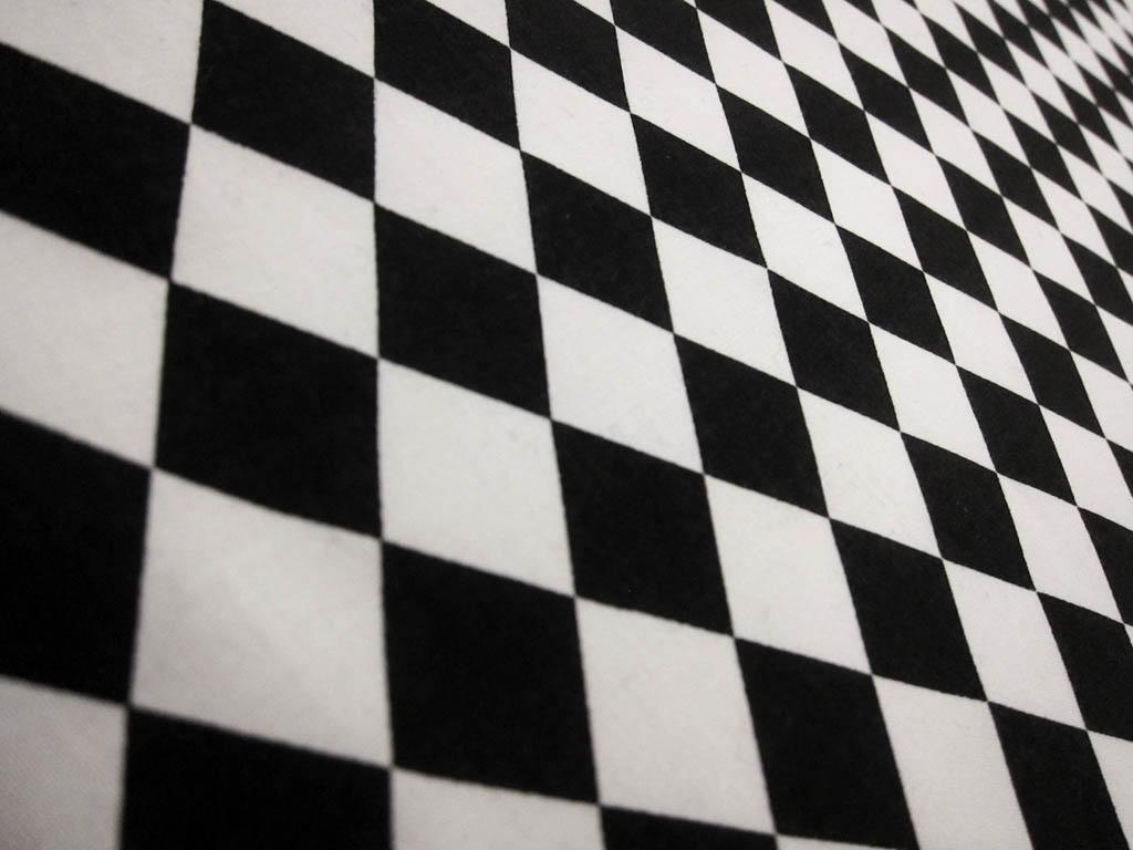 Cotton Broadcloth Print2