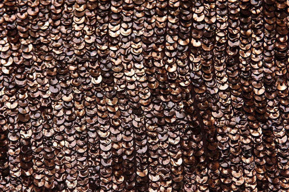 Sequins on Silk Chiffon2