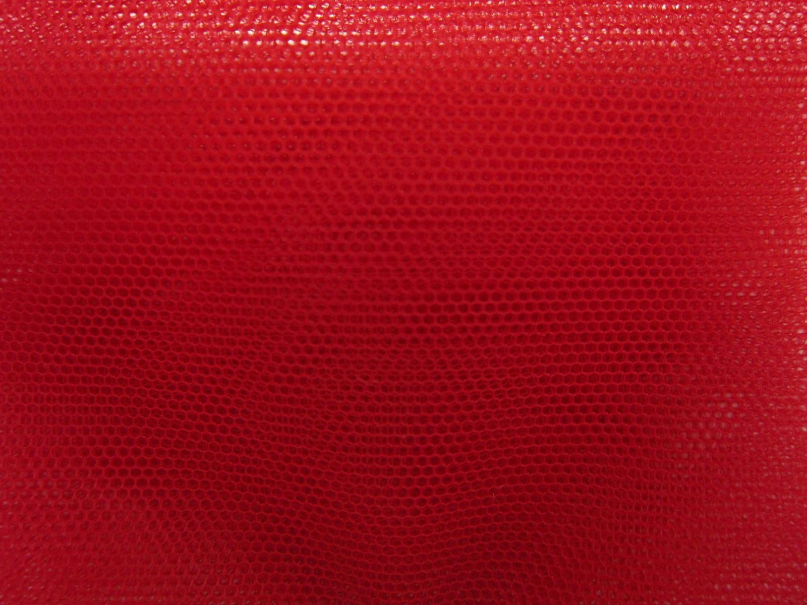 Italian Nylon Tulle in Sangue0