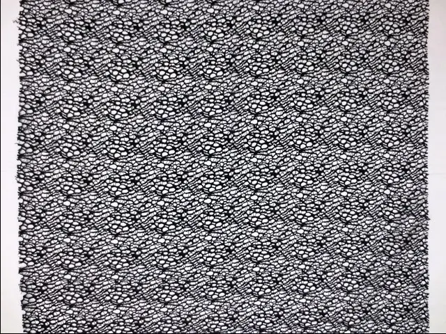 Corded Chantilly Lace3