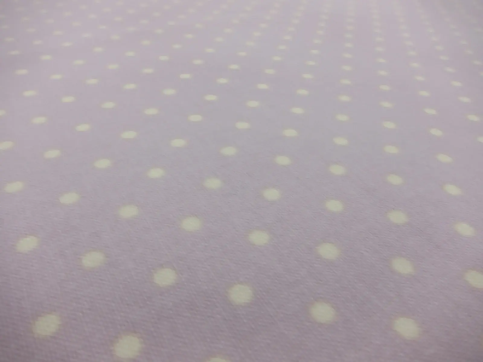 Cotton Broadcloth Print2