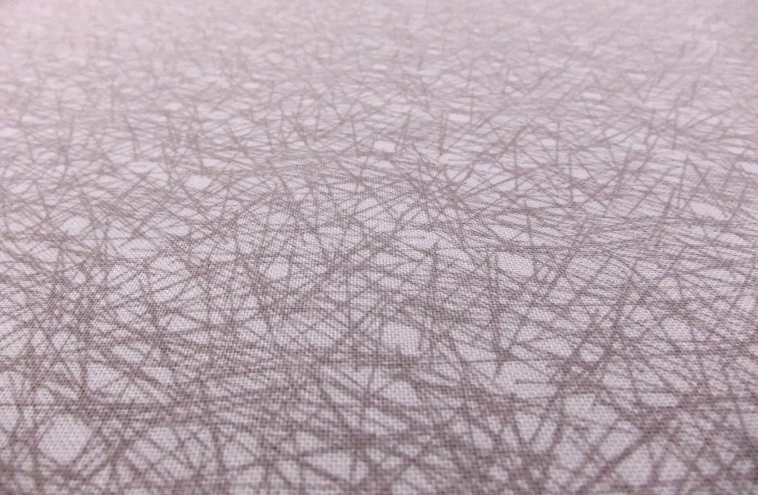 Cotton Broadcloth Print2
