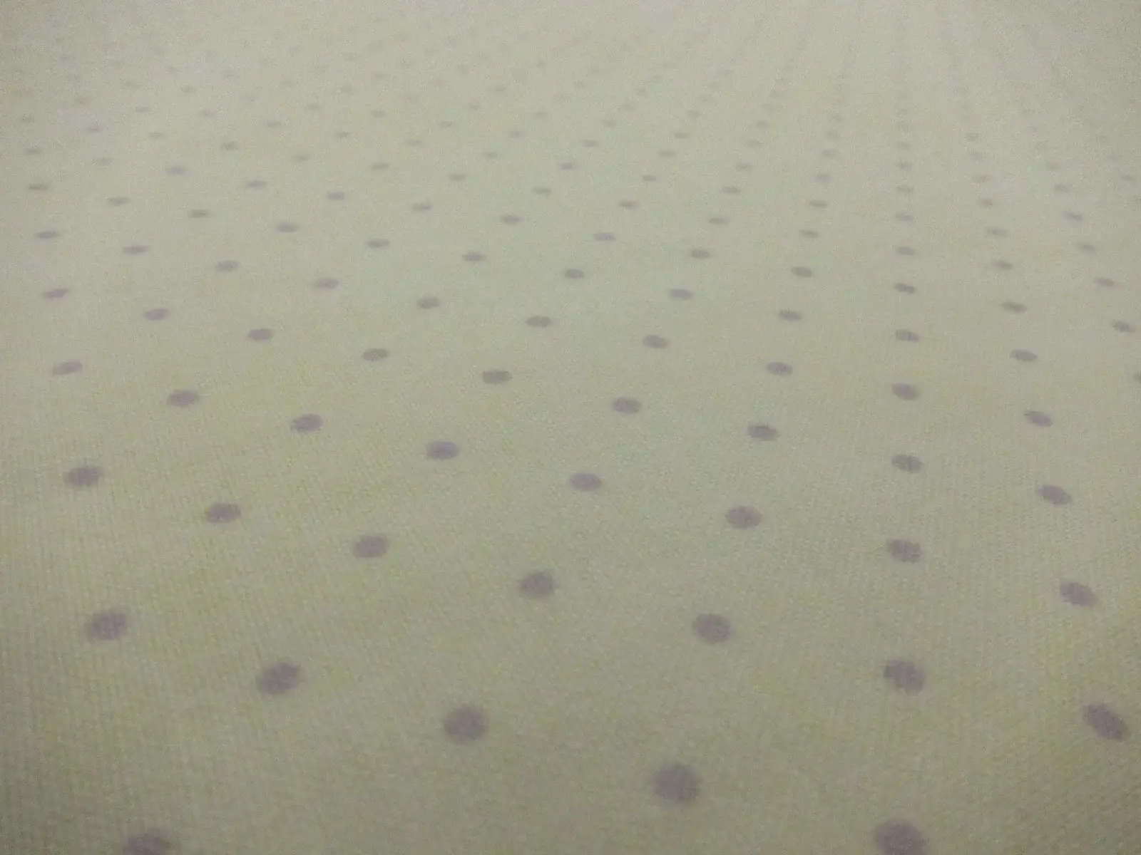 Cotton Broadcloth Print2