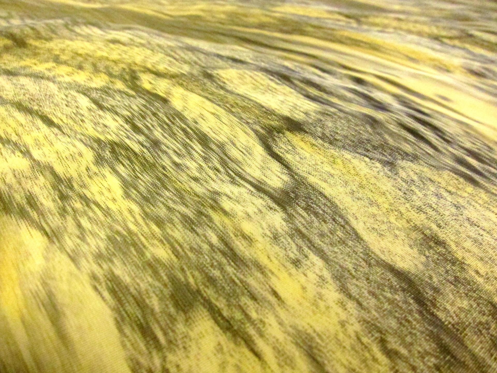 Polyester Nylon Warp Taffeta2