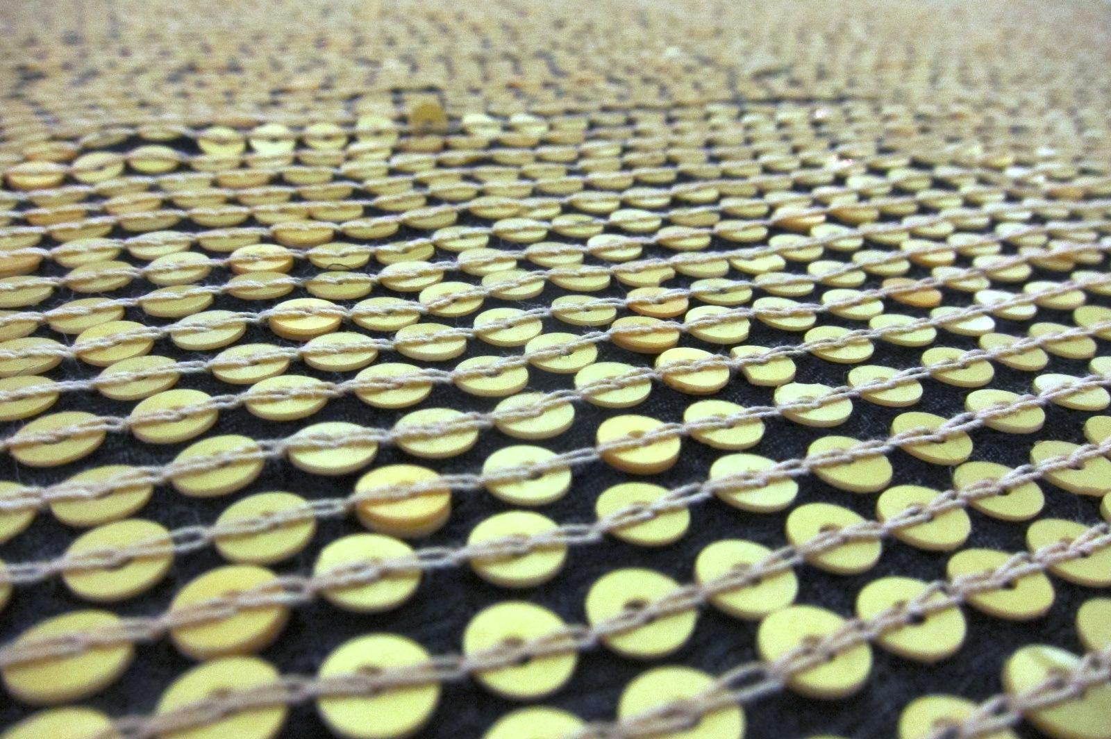 Sequins on Silk Chiffon2