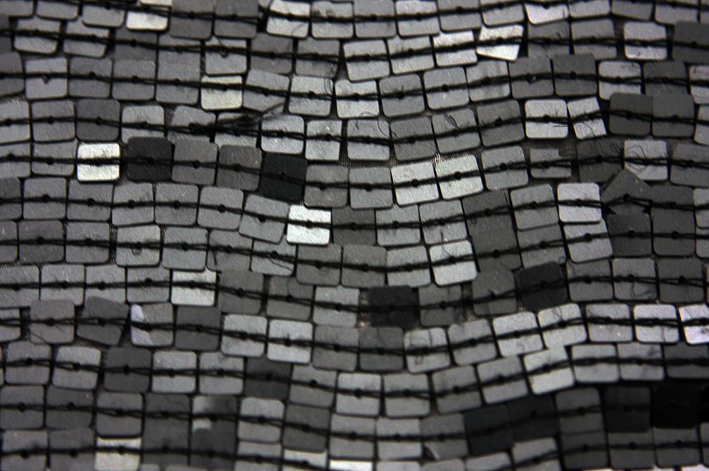 Sequins on Silk Chiffon0