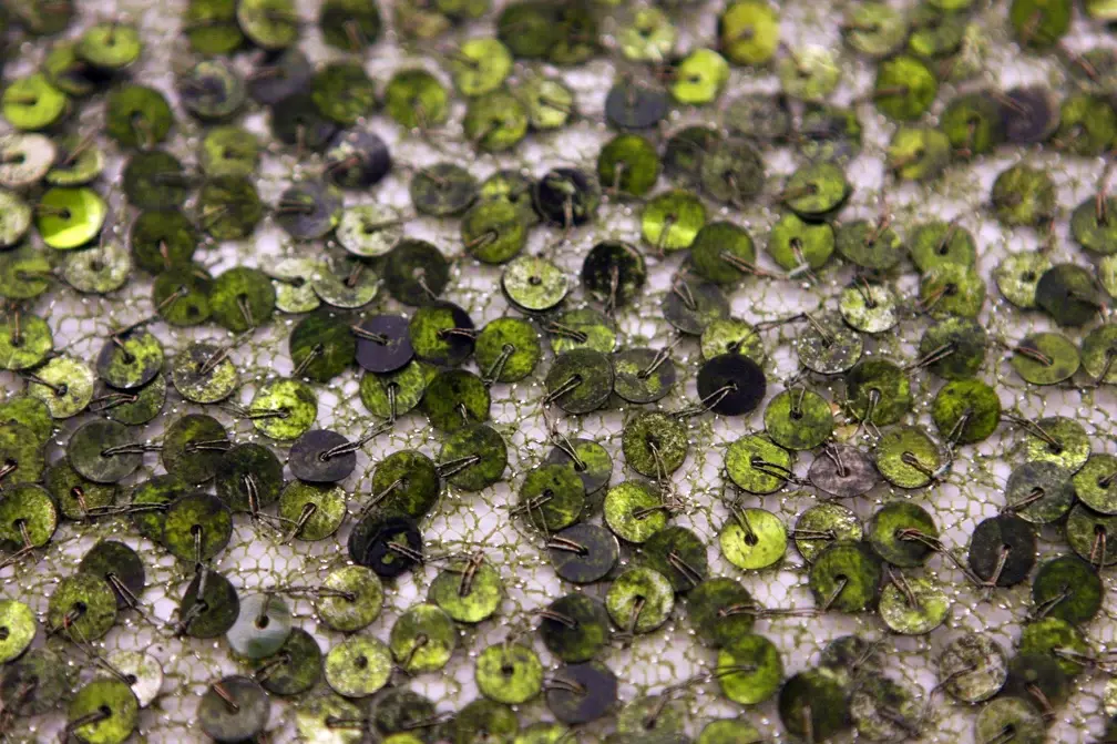 Sequins on Metallic Tulle2