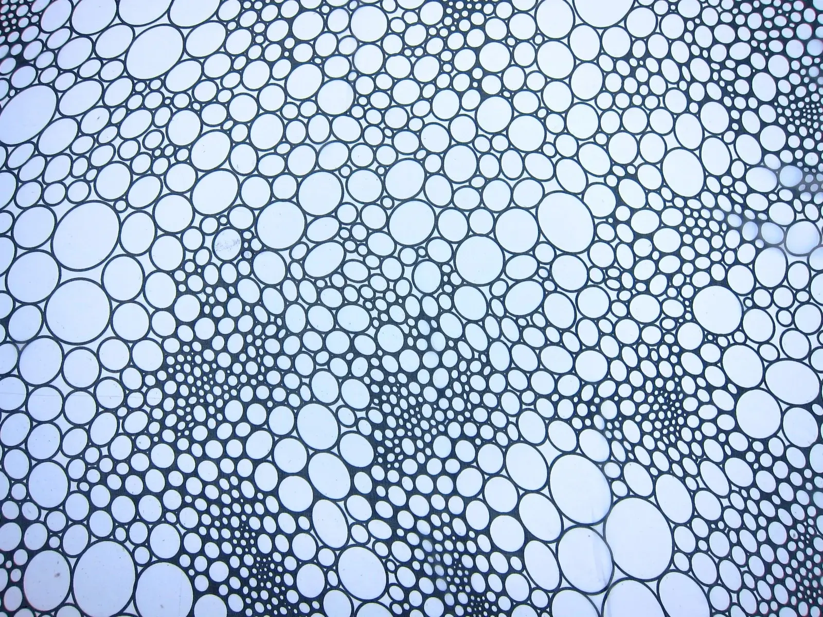 Printed Silk Chiffon0