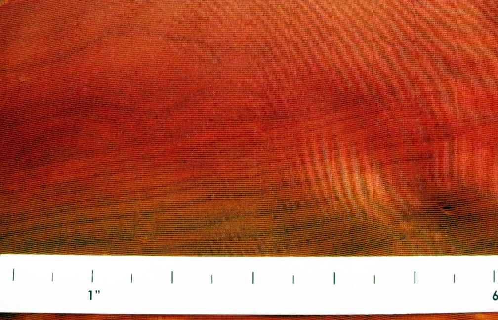 Novelty Blend Organza1