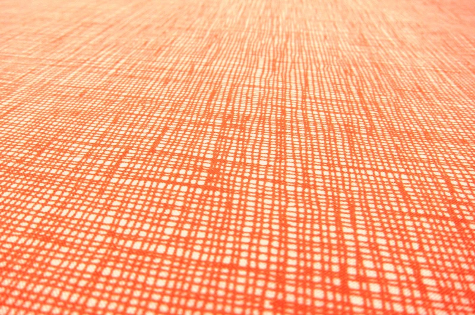 Cotton Broadcloth Print2