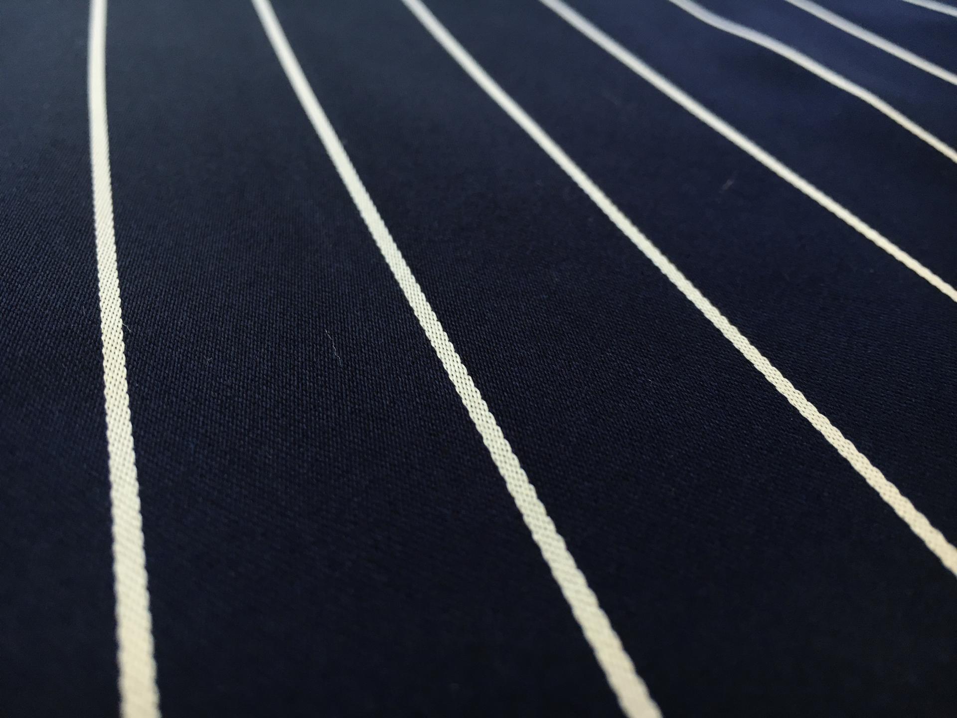 Silk Striped Tie Brocade2