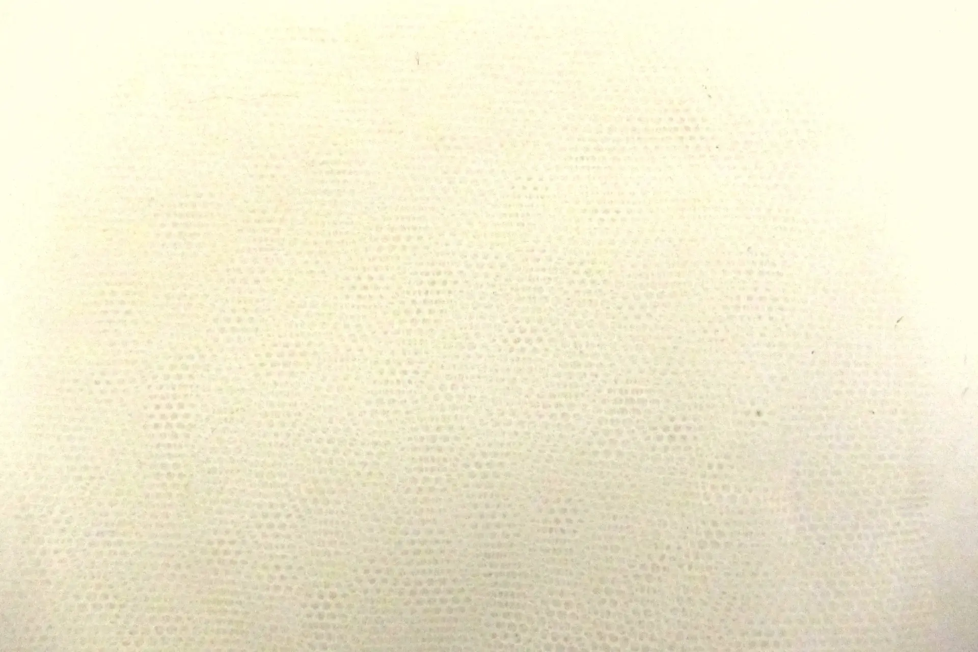 Italian Nylon Tulle in Avorio0