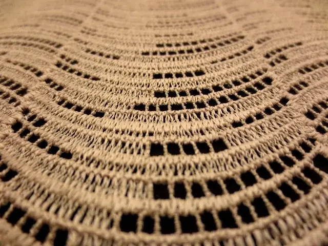 Guipure Lace2