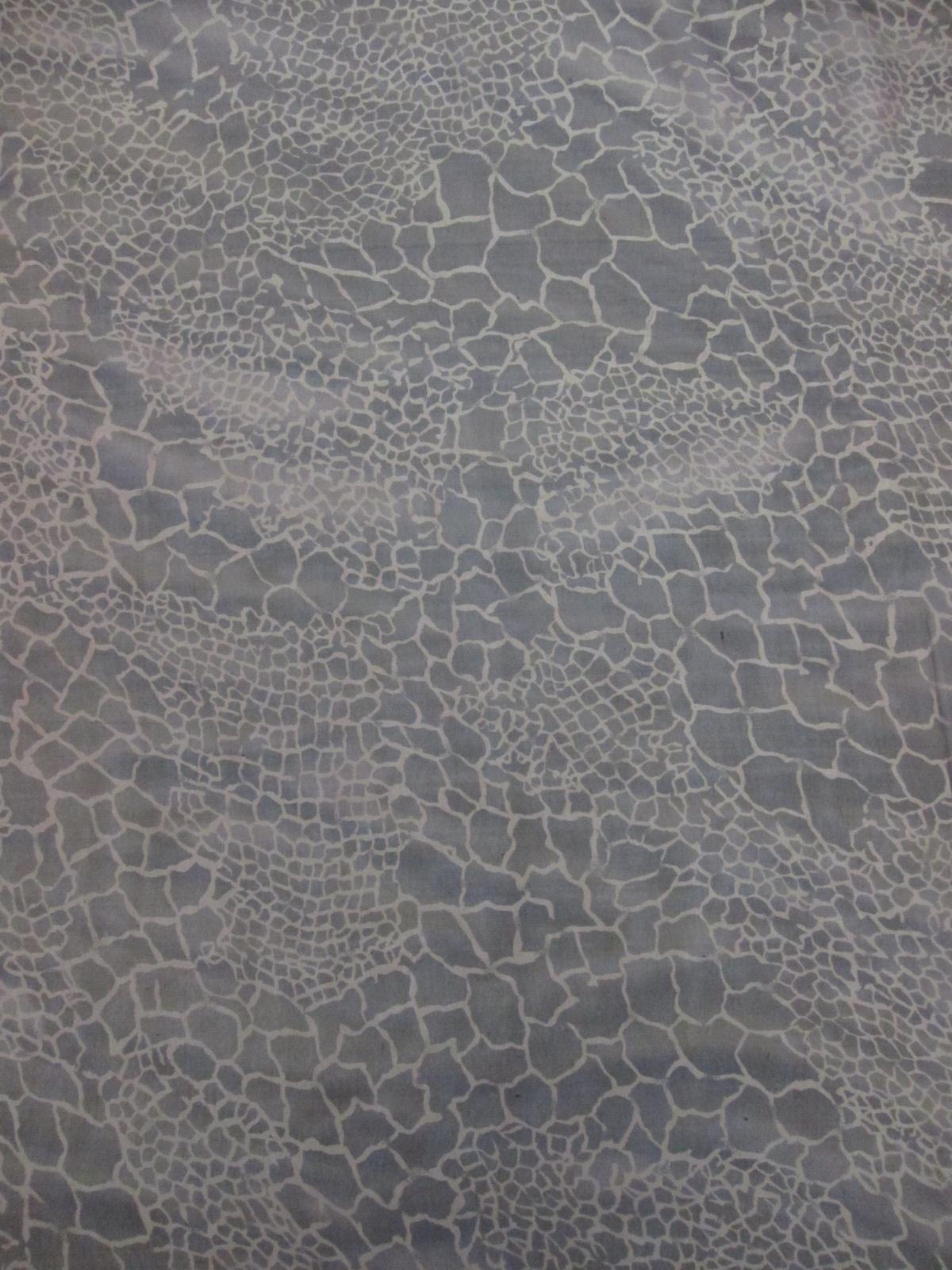 Iridescent Silk Chiffon Print1