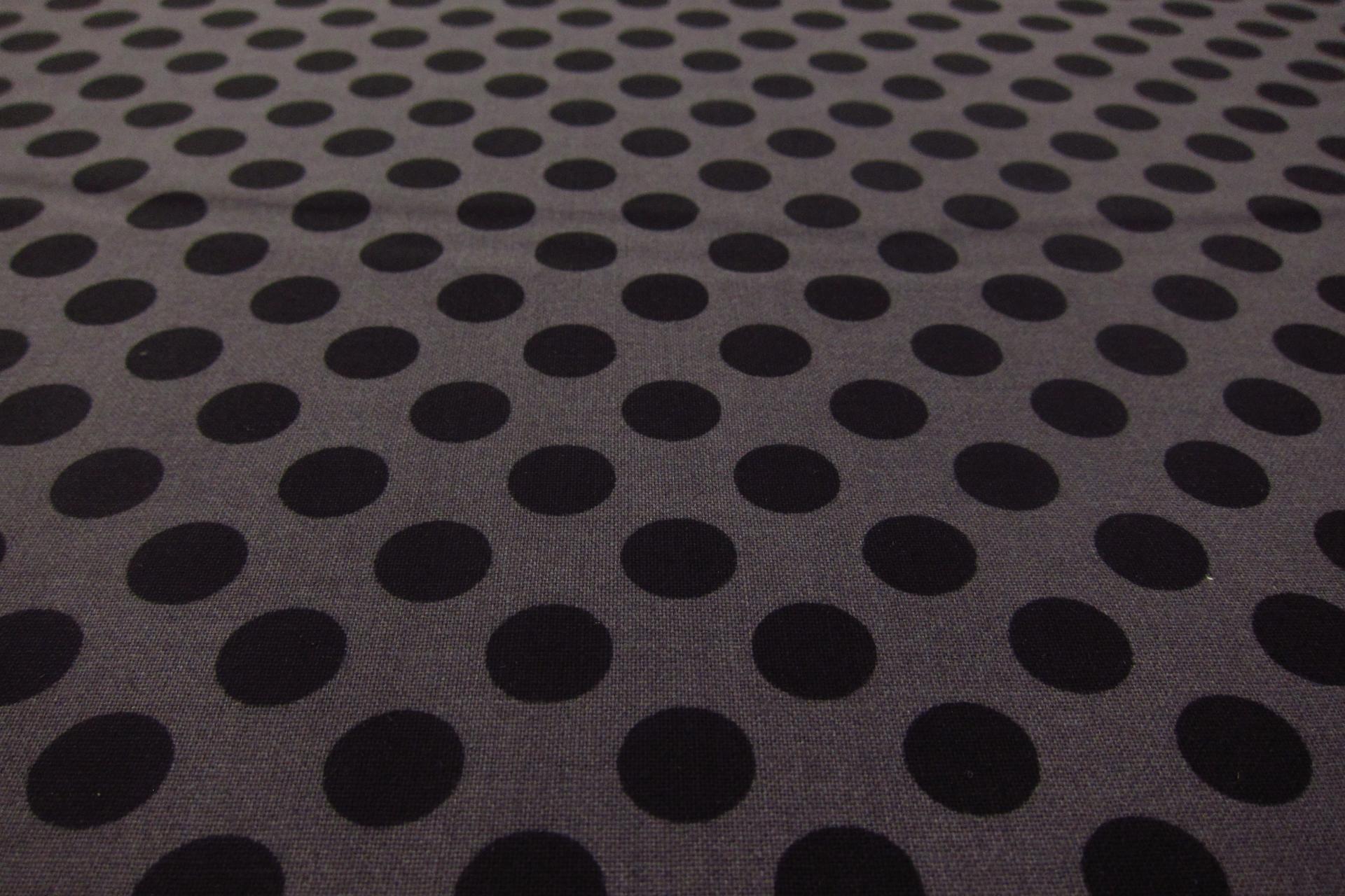 Cotton Broadcloth Print2