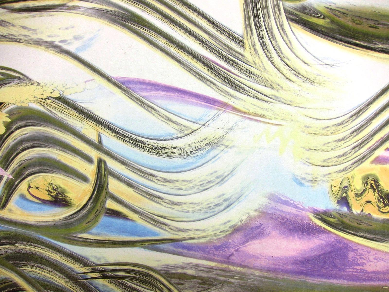 Printed Silk Chiffon0