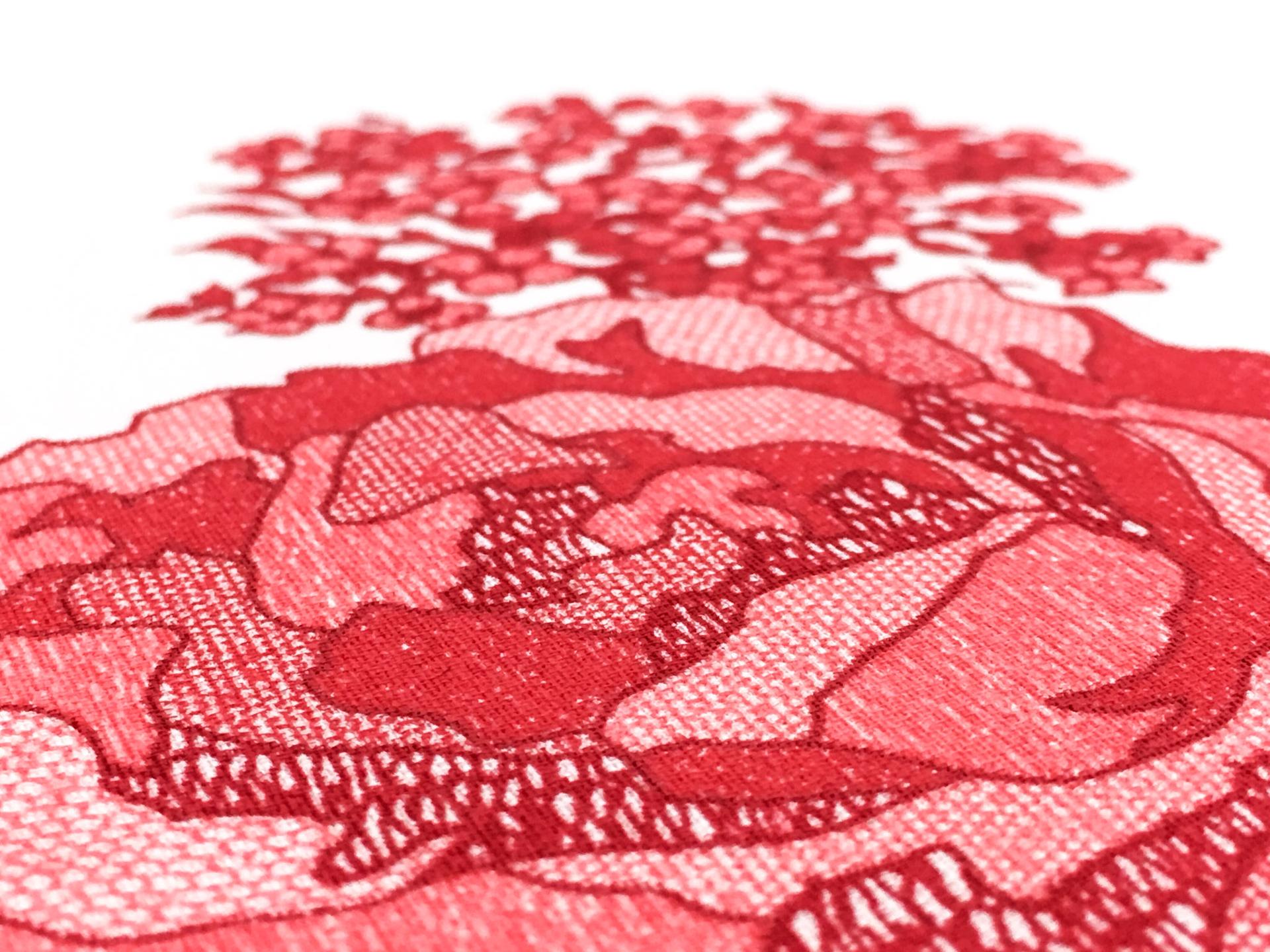 Printed Silk Couture Gazar with Roses3