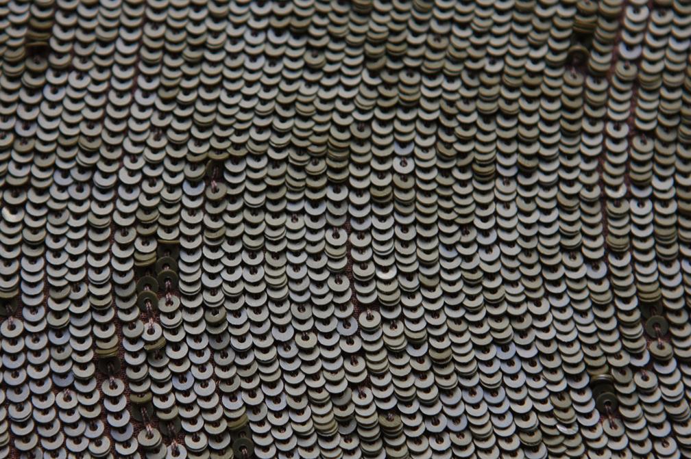 Sequins on Silk Chiffon3