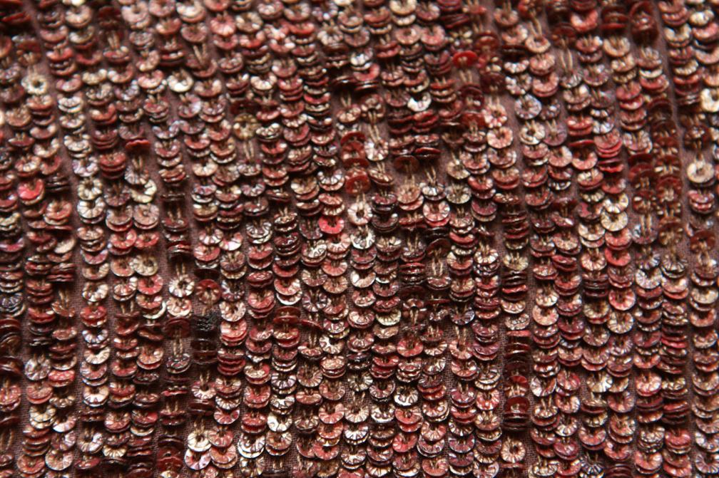 Sequins on Silk Chiffon2