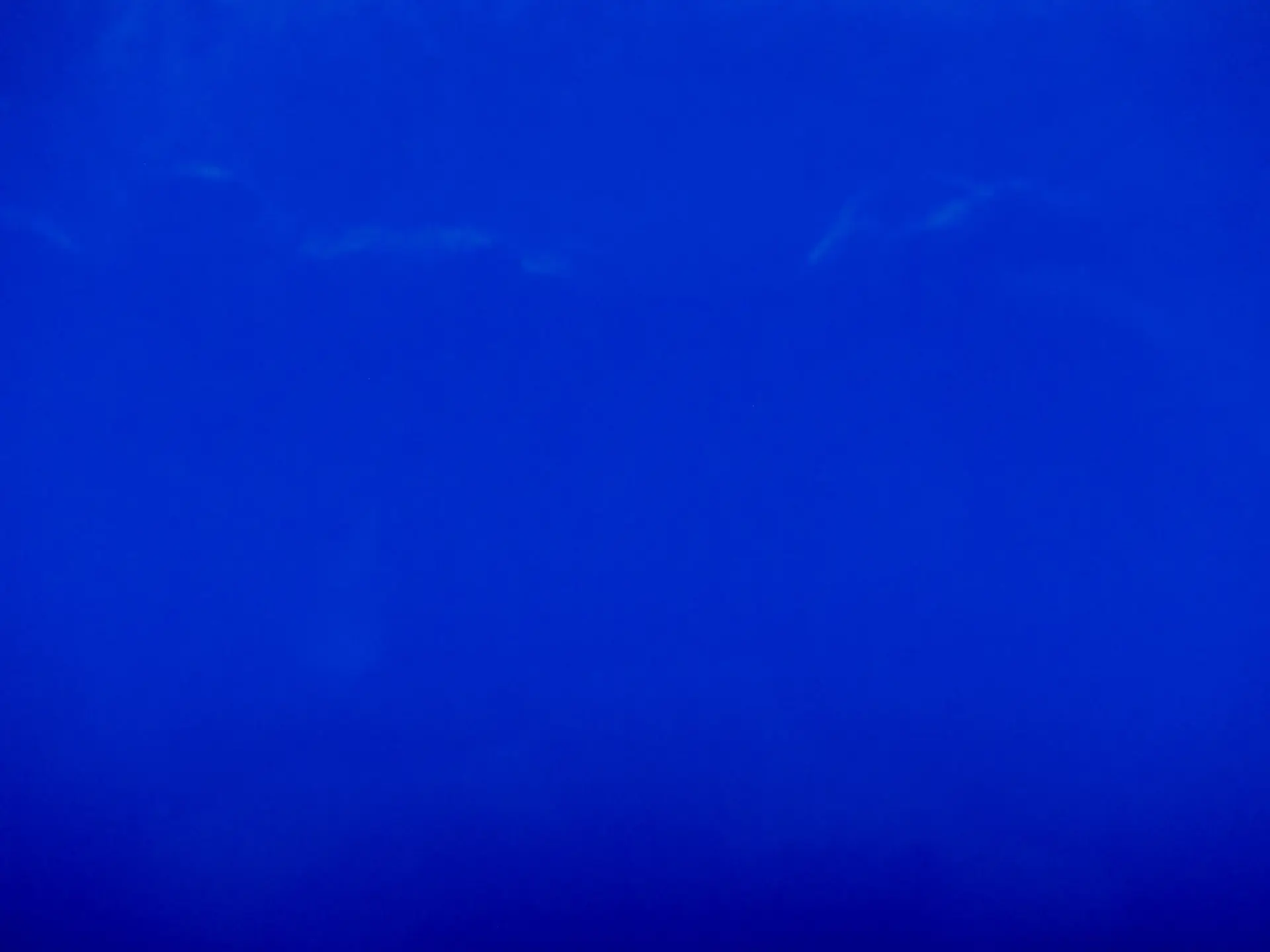 Upholstery Wetlook Vinyl in Blue0