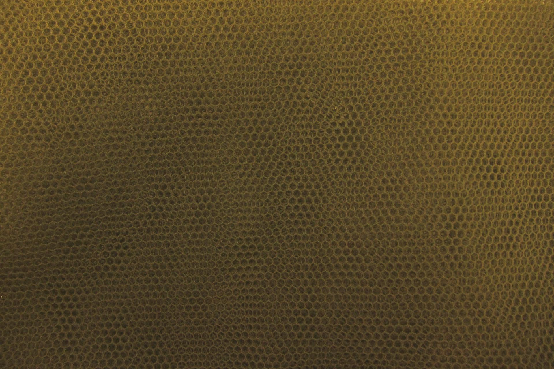 Italian Nylon Tulle in Bosco0